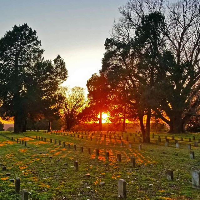 The sun sets upon rows of graves at the National Cemetery