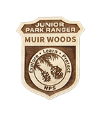 wooden badge that reads Muir Woods Junior Ranger with a redwood leaf and seed