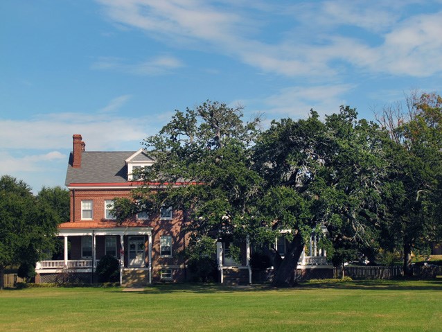 The Algernourne Oak from the Fort Monroe parade ground, 2012. The Algernourne Oak from the Fort Monroe parade ground, 2012.