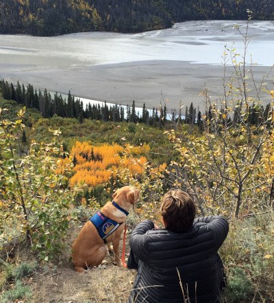 Service dog on duty Woman and her service dog take in the view of Alaskan river and woods