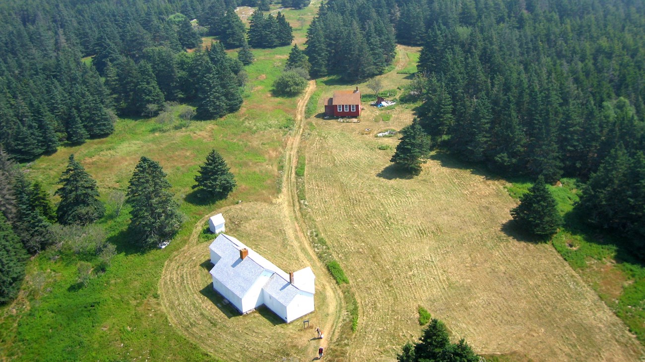 ACAD Baker Island aerial Aerial of rural landscape, with mowed grass around several structures, an unpaved drive, and clearings and pine trees.